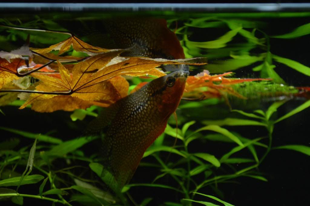 Marine Supplies Nanaimo Marine Supplies